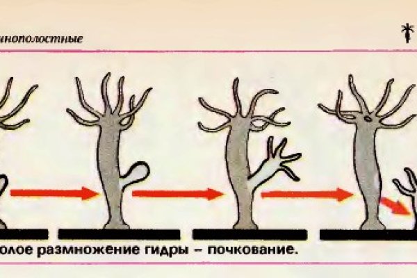 Что такое кракен сайт
