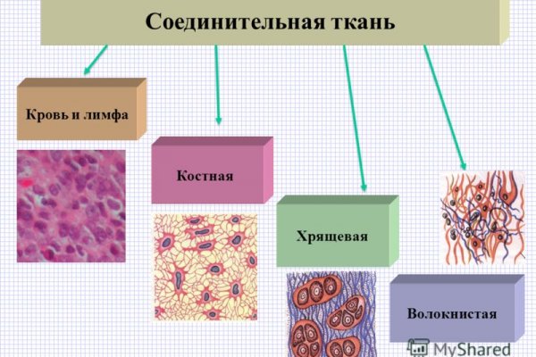 Даркнет вход